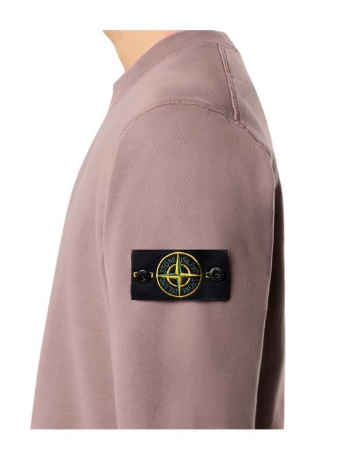 Stone Island Felpa girocollo in cotone biologico con maniche raglan Stone Island | L1S156100060S0051V008F
